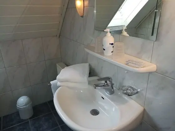 Tek Büyük Yataklı Oda, 1 Yatak Odası, Özel Banyo
