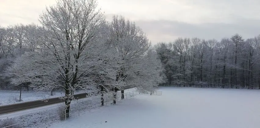 Tek Büyük Yataklı Oda, Balkon