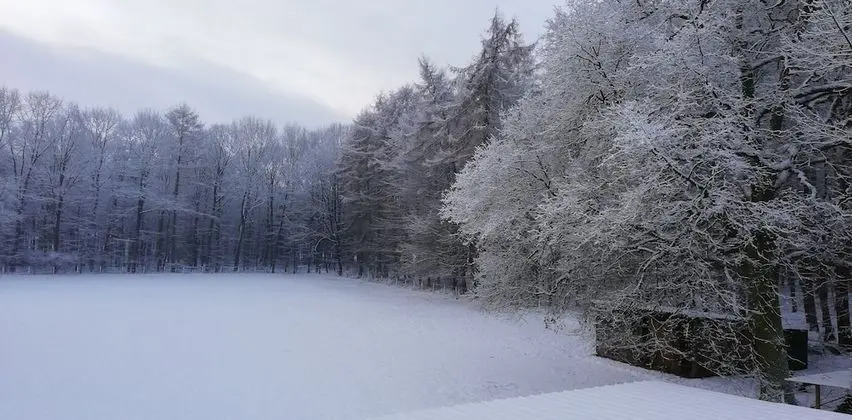 Tek Büyük Yataklı Oda, Balkon