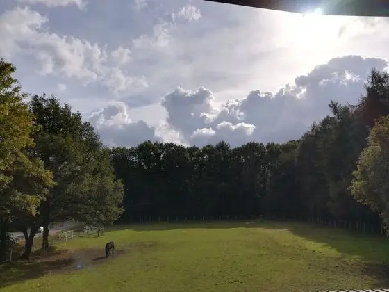 Tek Büyük Yataklı Oda, Balkon