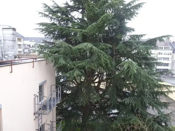 Tek Büyük Yataklı Oda, Ortak Banyo