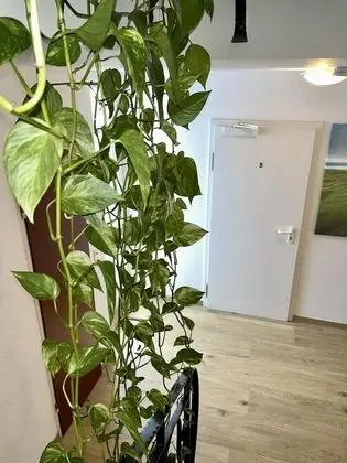 Basic Tek Büyük Yataklı Oda, Özel Banyo