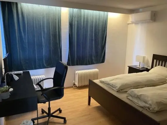 Basic Tek Büyük Yataklı Oda, Özel Banyo