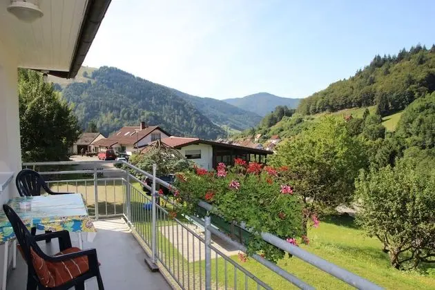 Apart Daire, Balkon (1)