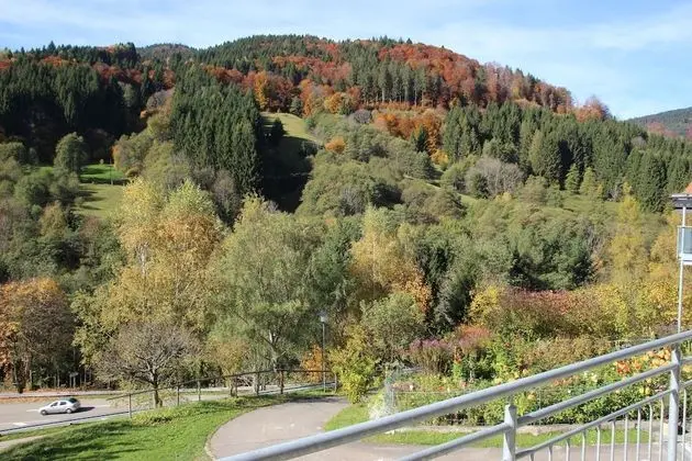 Apart Daire, Balkon (1)