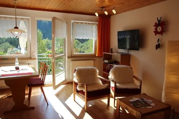 Apart Daire, Balkon (2)