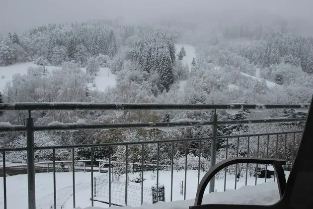 Apart Daire, Balkon (2)