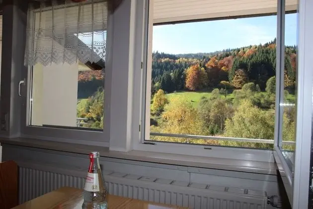 Apart Daire, Balkon (3)