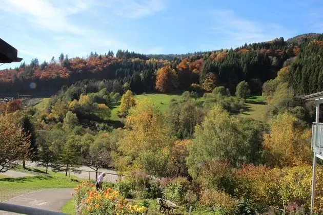 Apart Daire, Balkon (3)