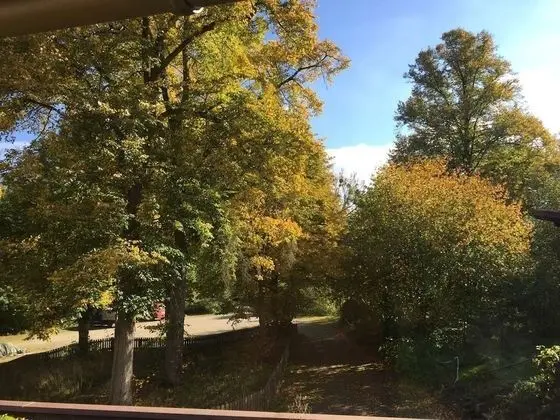 Apart Daire, 1 Büyük (Queen) Boy Yatak, Sigara İçilmez, Bahçe Manzaralı