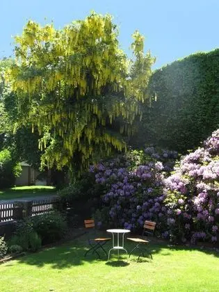 Comfort Apart Daire, 4 Yatak Odası, 2 Banyolu, Bahçeli