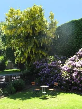 Family Oda, 3 Yatak Odası (incl. 1 child's room, shared kitchen)