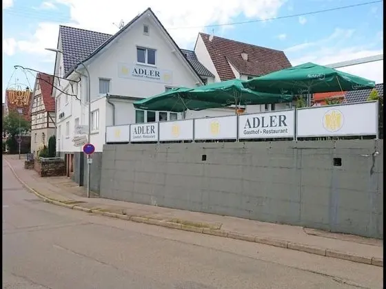 Oda, 1 Yatak Odası, Teras