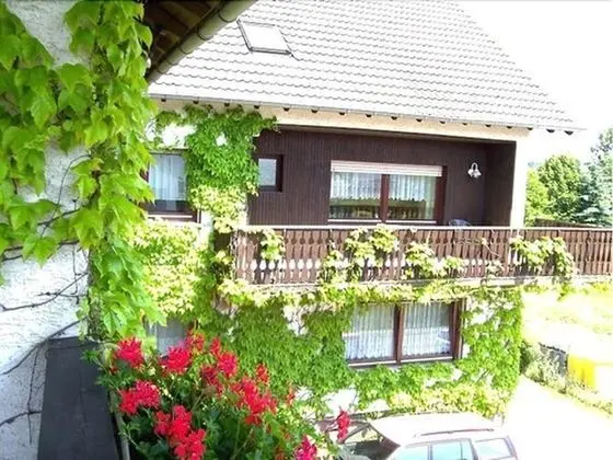 Business Tek Büyük veya İki Ayrı Yataklı Oda, Dağ Manzaralı