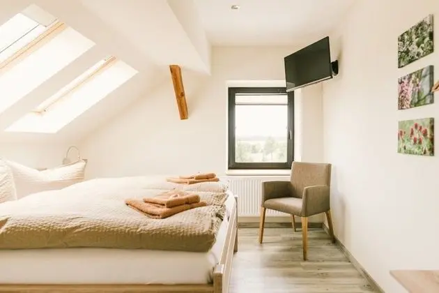 Tek Büyük Yataklı Oda, 1 Çift Kişilik Yatak