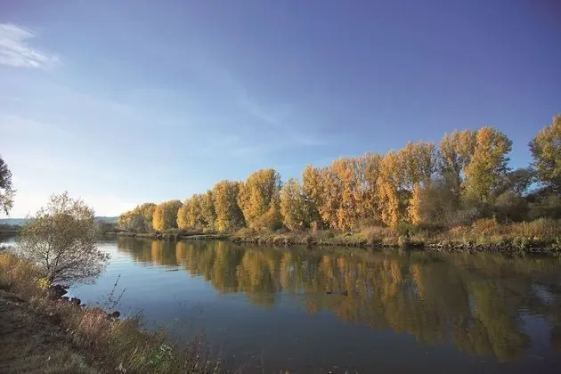 Tek Büyük Yataklı Oda, Özel Banyo, Nehir Manzaralı