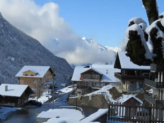 Standard Tek Büyük veya İki Ayrı Yataklı Oda