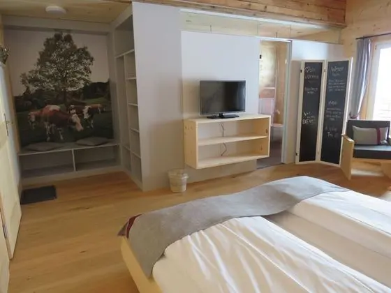 Superior Tek Büyük Yataklı Oda