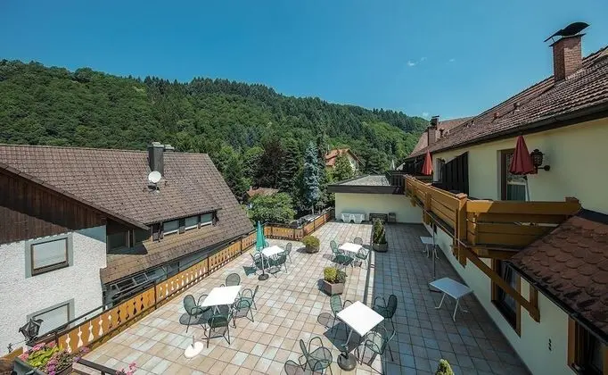 Süit