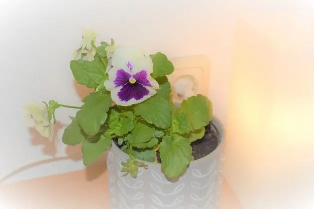 Economy Tek Büyük Yataklı Oda