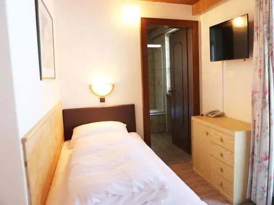 Economy Tek Kişilik Oda, Dağ Manzaralı