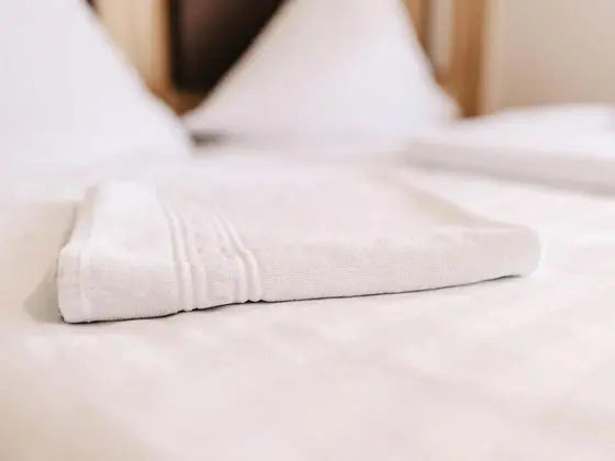 Comfort Tek Kişilik Oda, Banyolu/Duşlu (Sonnenwald)