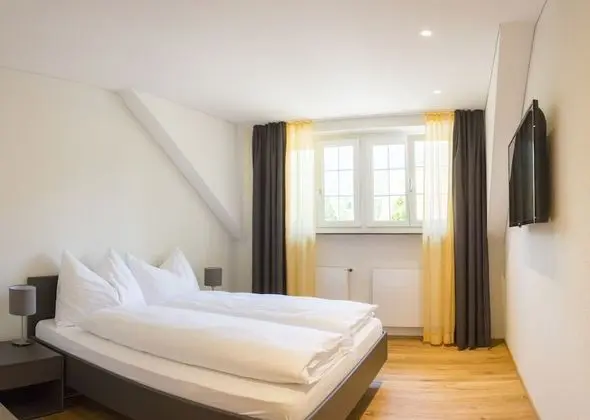 Superior Tek Büyük Yataklı Oda