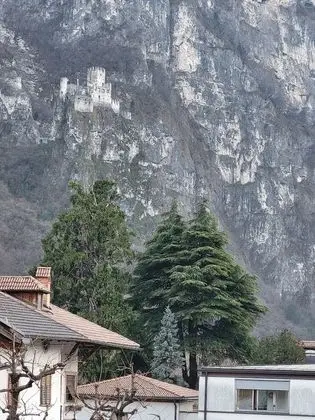 Standard Tek Büyük veya İki Ayrı Yataklı Oda, 1 Yatak Odası