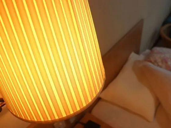 Deluxe İki Ayrı Yataklı Oda