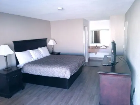 Standard Tek Kişilik Oda, 1 En Büyük (King) Boy Yatak, Sigara İçilebilir