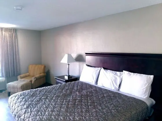 Standard Tek Kişilik Oda, 1 En Büyük (King) Boy Yatak, Sigara İçilebilir