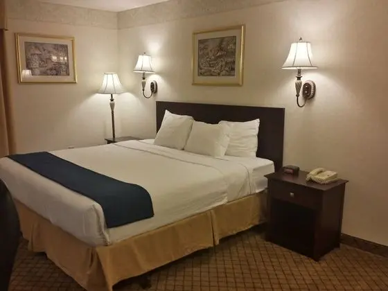 Oda, 1 En Büyük (King) Boy Yatak, Engellilere Uygun, Sigara İçilmez (Pet-Friendly)