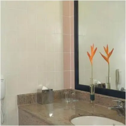 Superior Oda, 2 Tek Kişilik Yatak, Şehir Manzaralı
