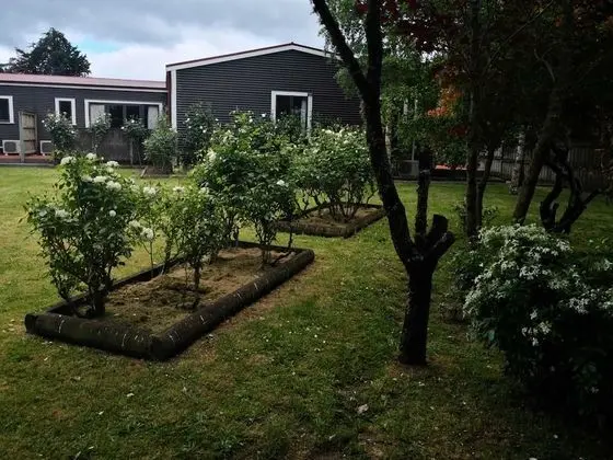 Premium Süit, 1 Yatak Odası