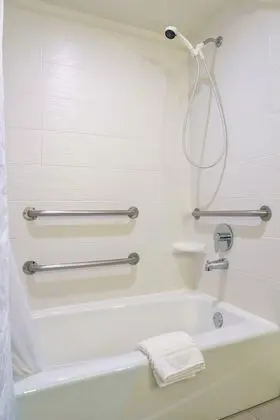 2 Queens Accessible Roll-In Shower