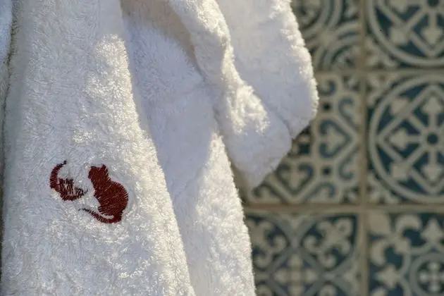 Deluxe Süit (The Call of the Country)