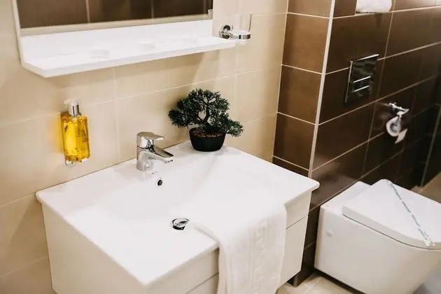Premium Apart Daire, Birden Çok Yatak, Balkon, Şehir Manzaralı