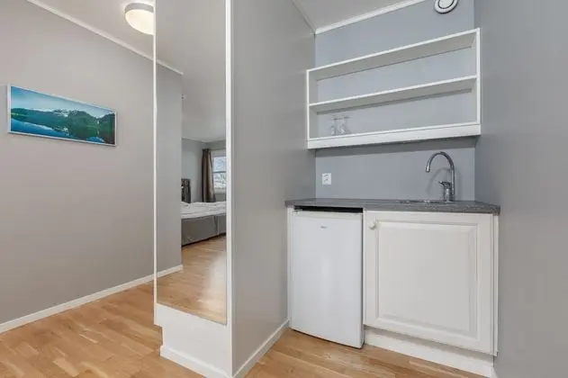 Superior Tek Büyük Yataklı Oda