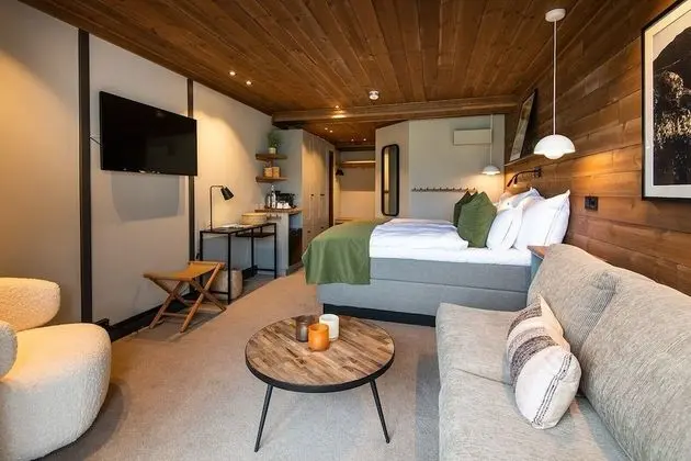 Superior Tek Büyük Yataklı Oda