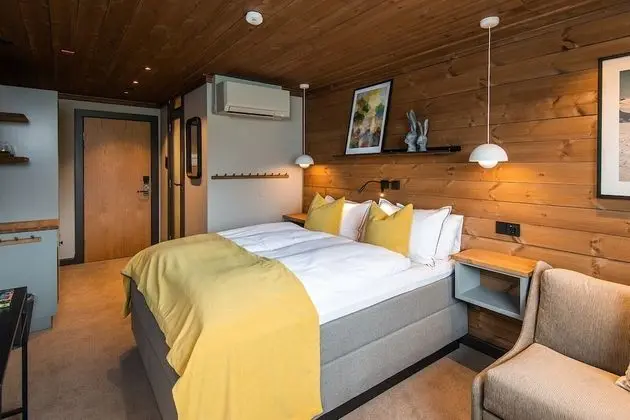 Superior Tek Büyük Yataklı Oda