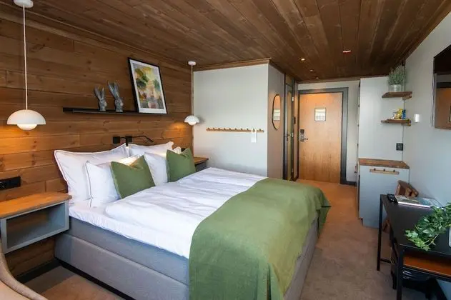 Superior Tek Büyük Yataklı Oda