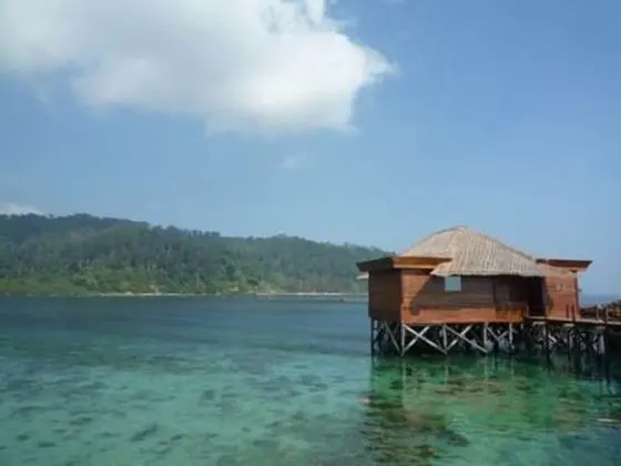 Luxury Villa (Palm Villa)
