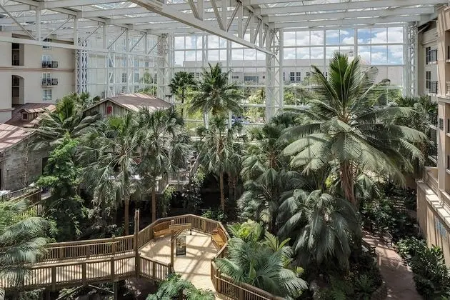 Oda, 2 Büyük (Queen) Boy Yatak, Manzaralı (Atrium View)