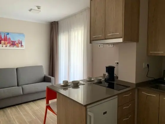 Standard Apart Daire, 1 Yatak Odası, Teras