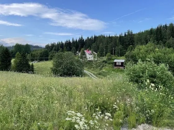 Ev, 4 Yatak Odası, Mikrodalga