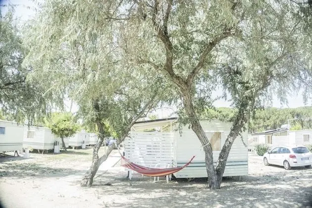 Economy Karavan