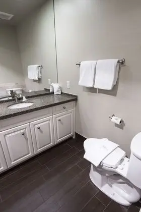 Çatı Katı (Loft) (Unit 309)