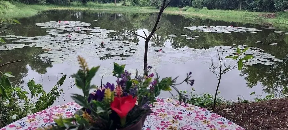 Deluxe Stüdyo, 1 Yatak Odası, Sigara İçilmez, Göl Manzaralı