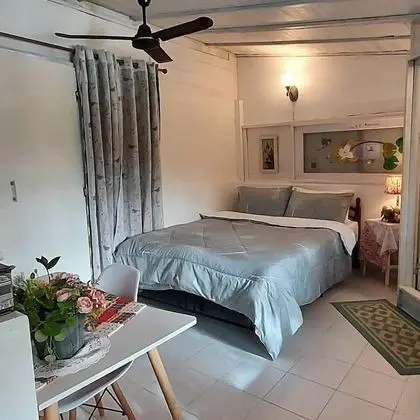 Deluxe Stüdyo, 1 Yatak Odası, Sigara İçilmez, Göl Manzaralı
