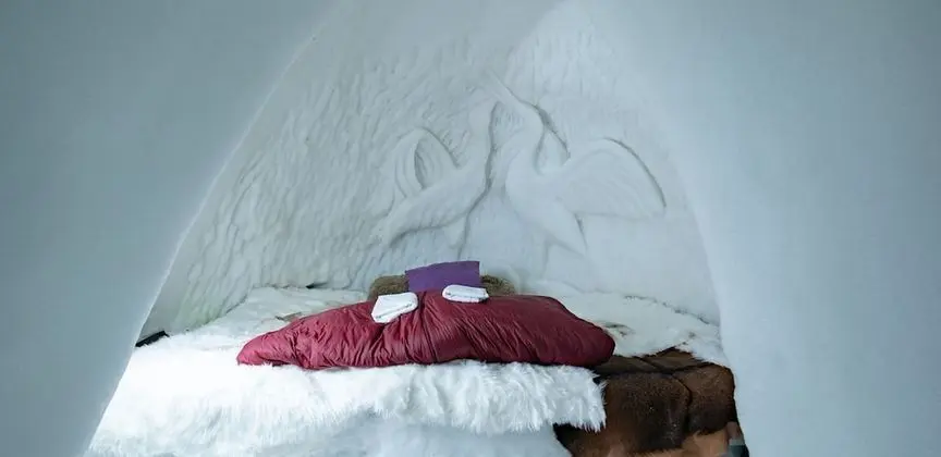 Dört Kişilik Oda (Igloo)